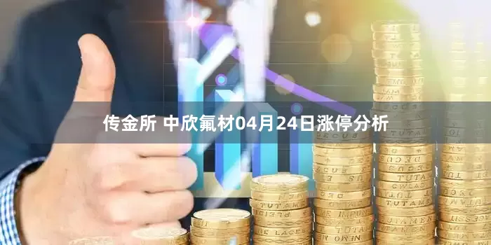 传金所 中欣氟材04月24日涨停分析