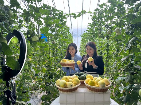 汇配资 “领头雁”的种瓜“致富经”