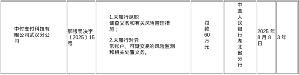 中金宸大 中付支付武汉分公司被罚60万，涉未履行尽职调查义务等