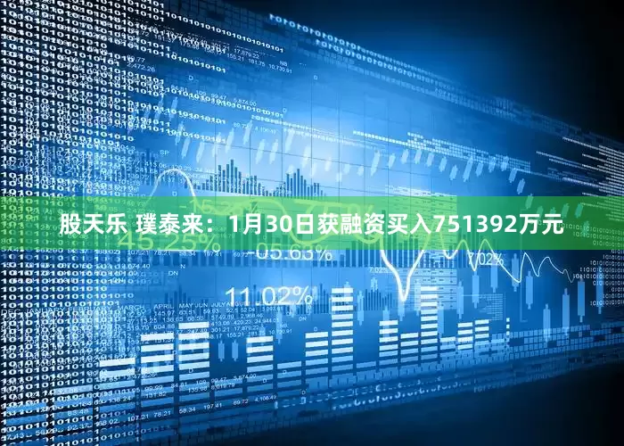股天乐 璞泰来：1月30日获融资买入751392万元